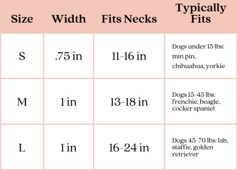 Very Merry and Bright Christmas Lights dog collar with silver