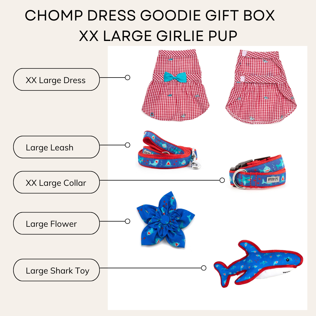 Chomp Dress Girlie Gift Box