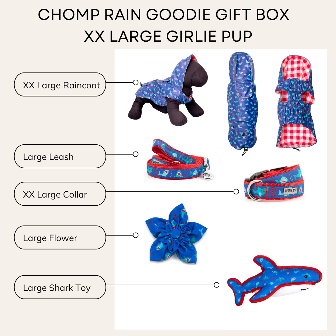 Chomp Rain Girlie Gift Box