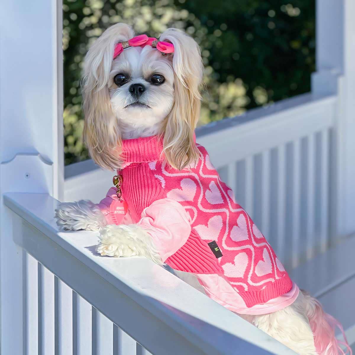 2 Pack Little Love Dog Sweaters: Medium