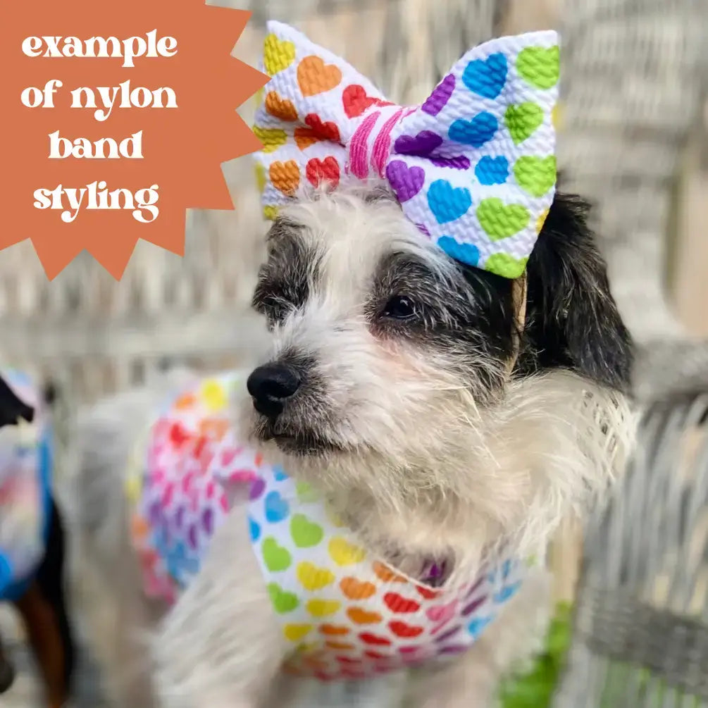 Very Merry and Bright Christmas winter dog bow tie pet accessory: Collar attachment