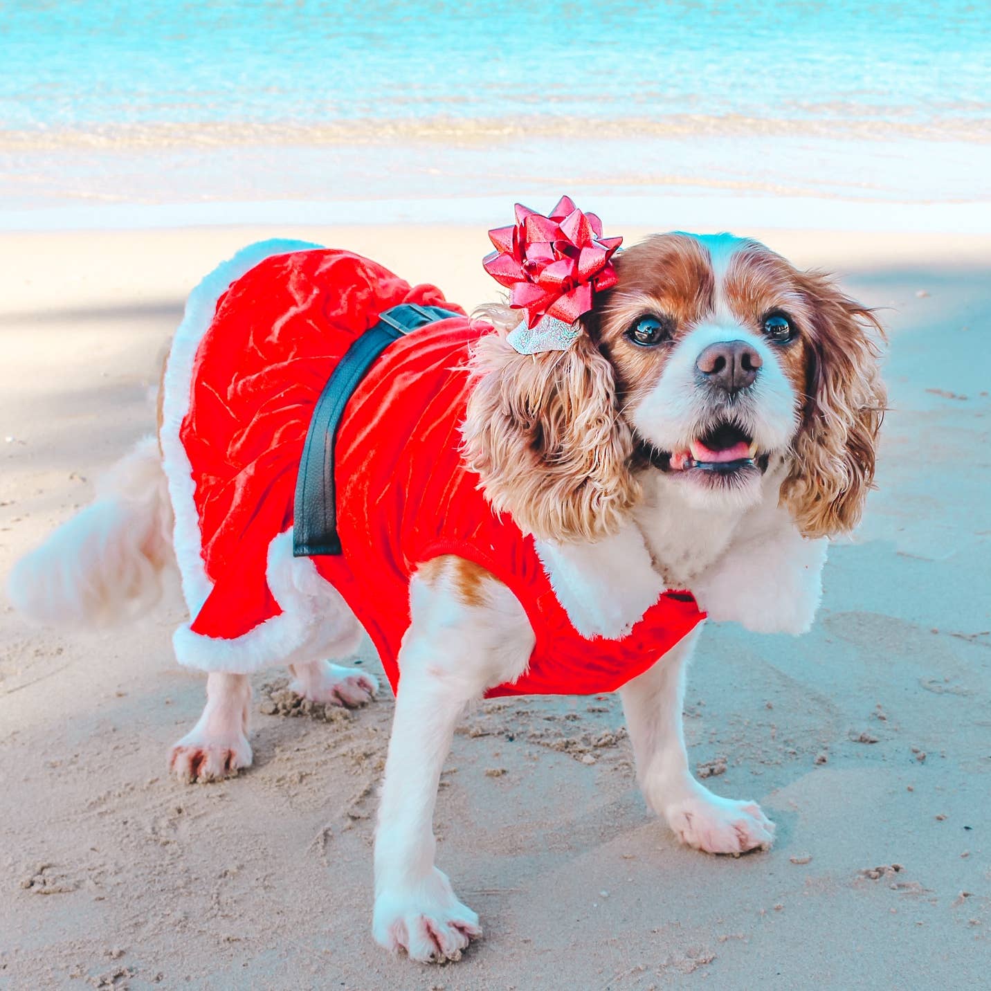 Mrs Claus Suede Dress