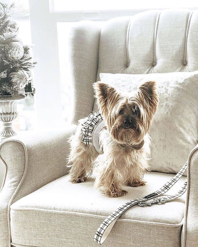 Harness Dress, Khaki Plaid: XL