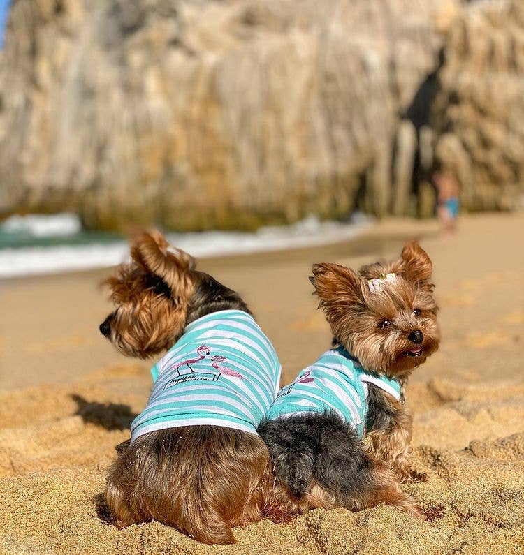 Flamingos Dog T-Shirt