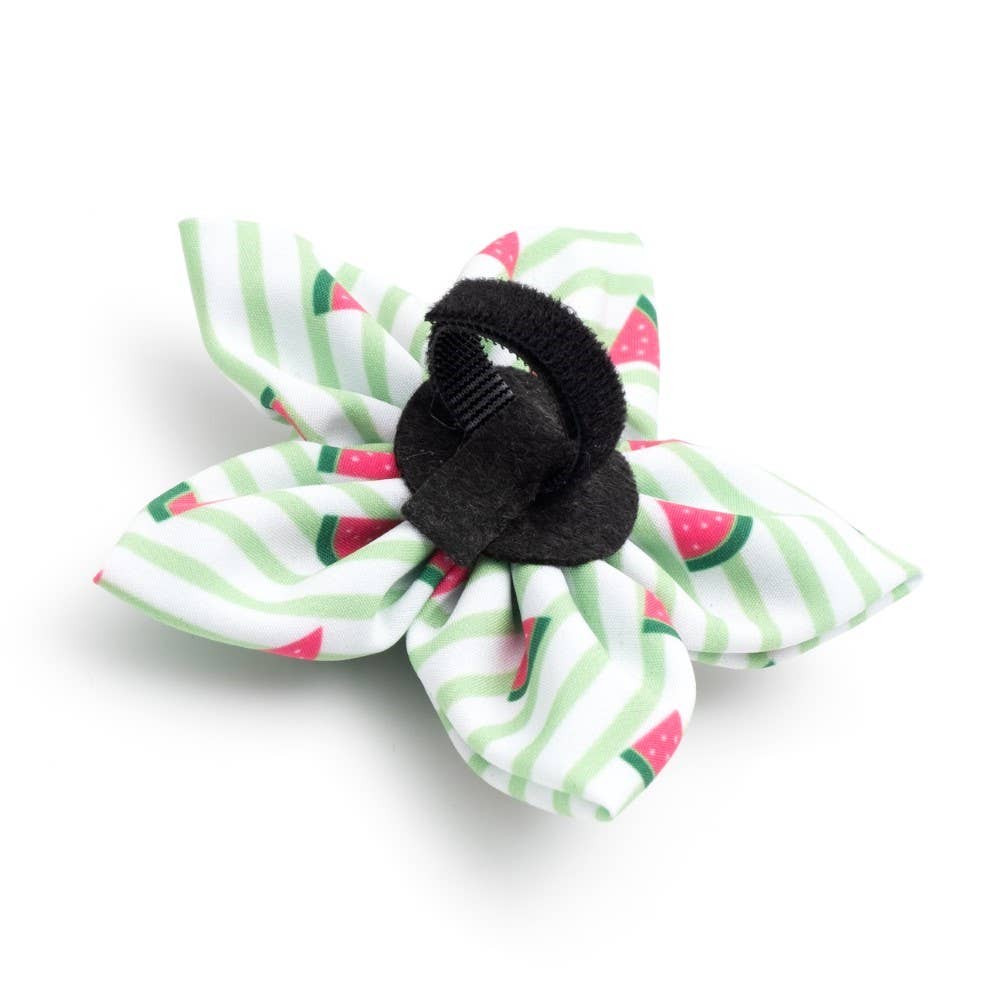 Stripe Watermelon Flower: Green