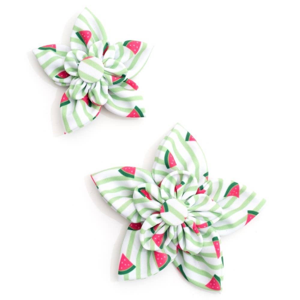 Stripe Watermelon Flower: Green
