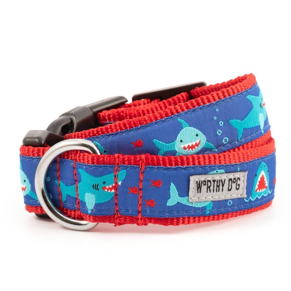Chomp Collar: Blue / X Large