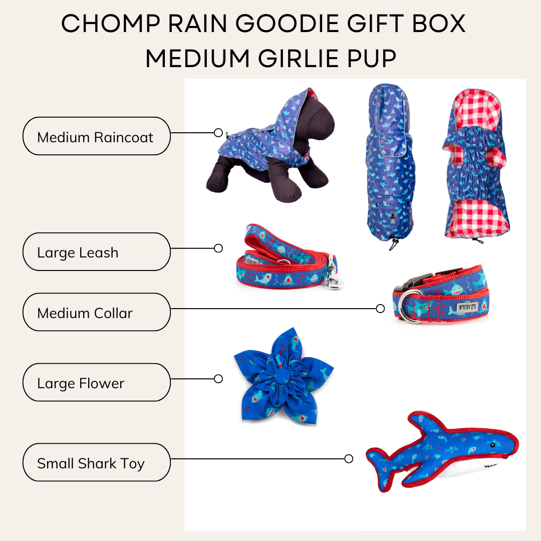 Chomp Rain Girlie Gift Box