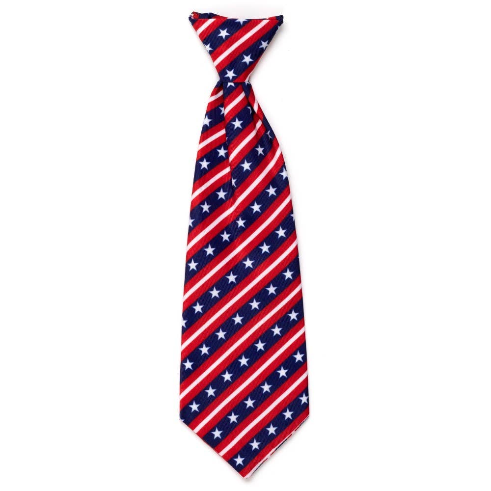 Bias Stars and Stripes Neck Tie: Red/White/Blue