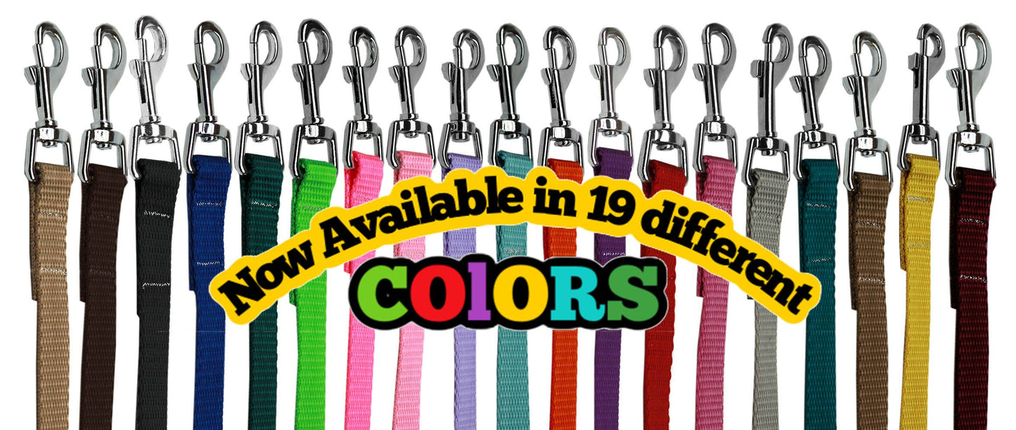 Zen Plain Colored Nylon Collars and Leashes: Blue Leash