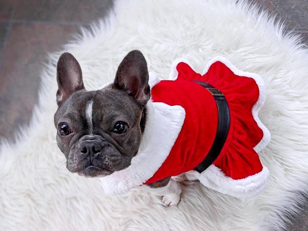 Mrs Claus Suede Dress