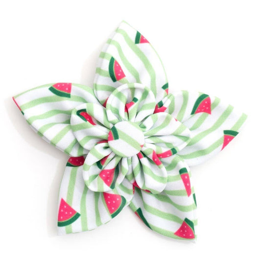 Stripe Watermelon Flower: Green
