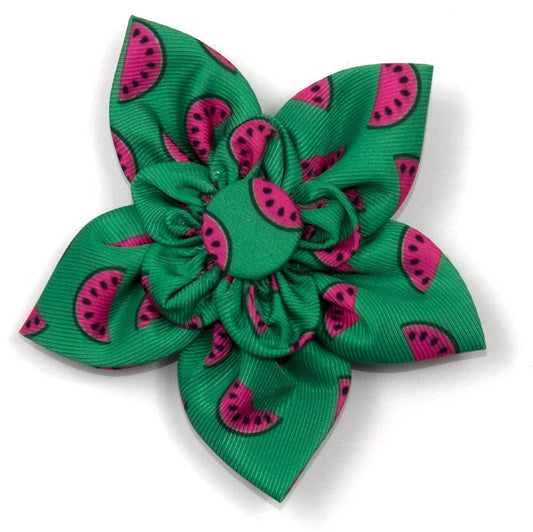 Watermelon Flower: Green